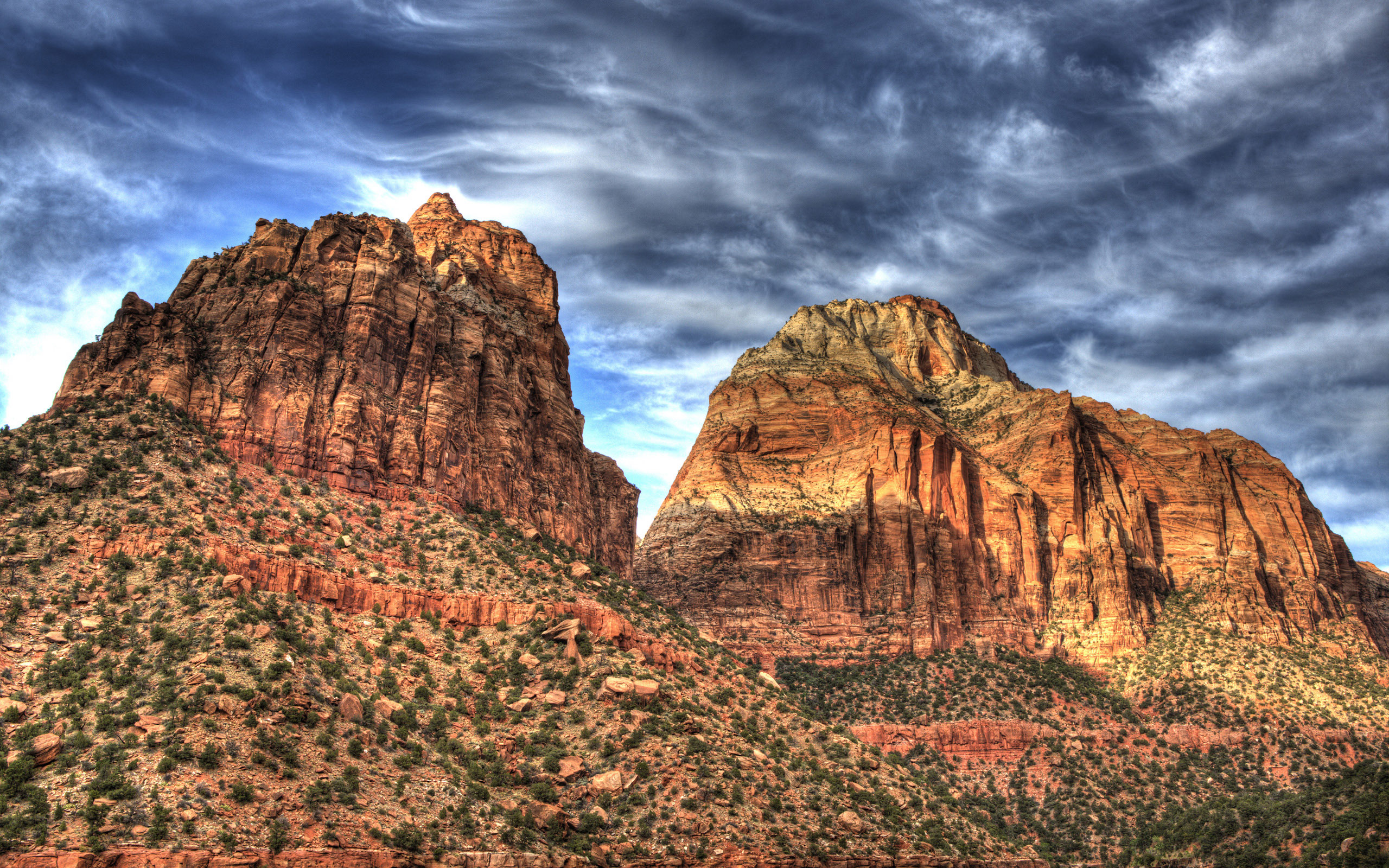 世界体能恢复跨界峰会闭幕:产业与科研联动加速落地,世界体能标准